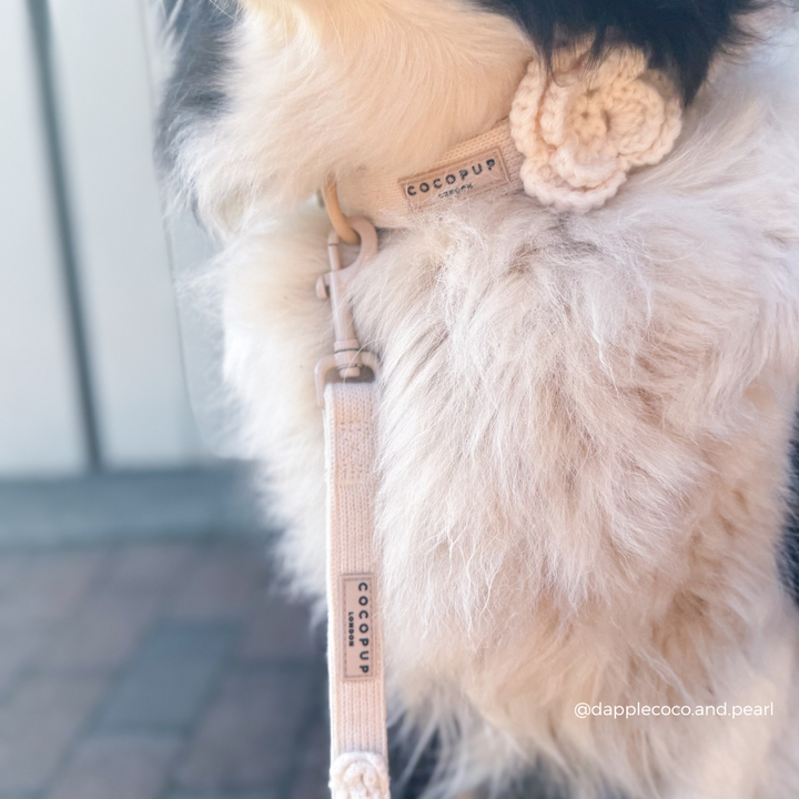Petal Patch COLLAR