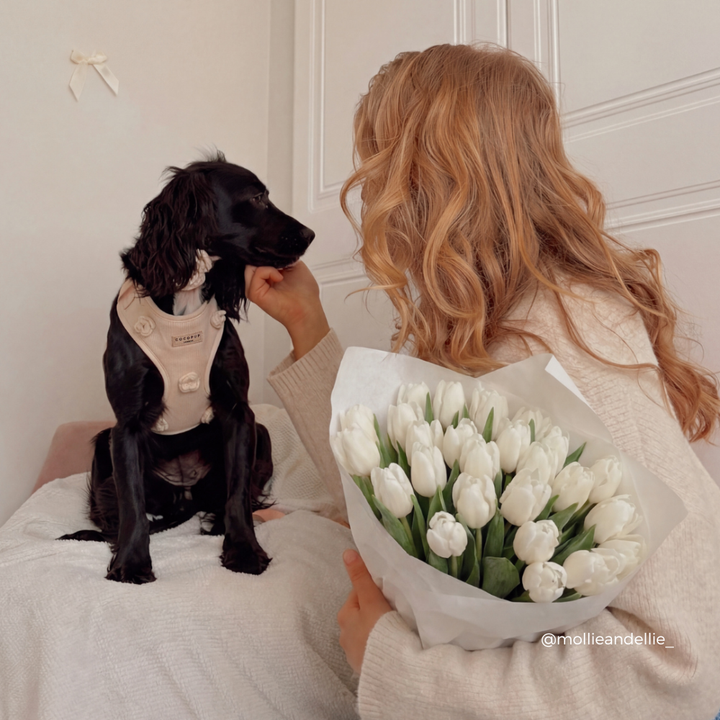 Petal Patch Adjustable Neck HARNESS