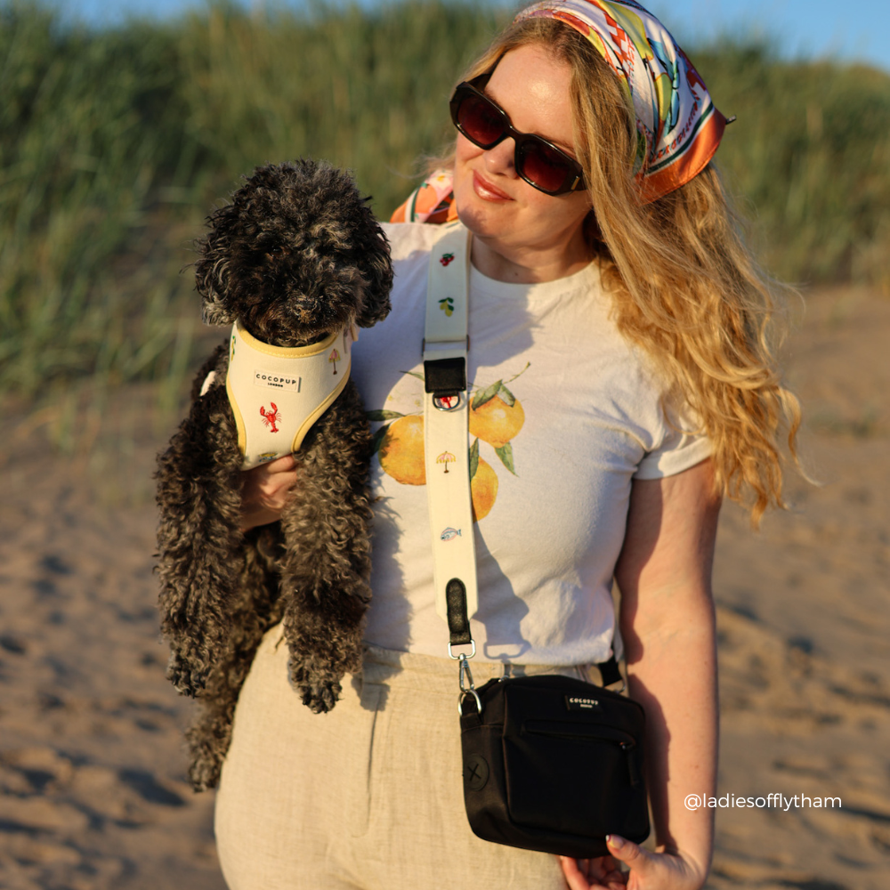 Dog Walking Bag Bundle - Picnic in Positano