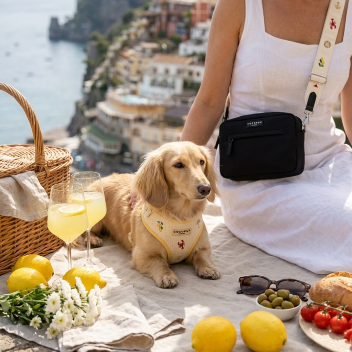 Bag Strap - Picnic in Positano