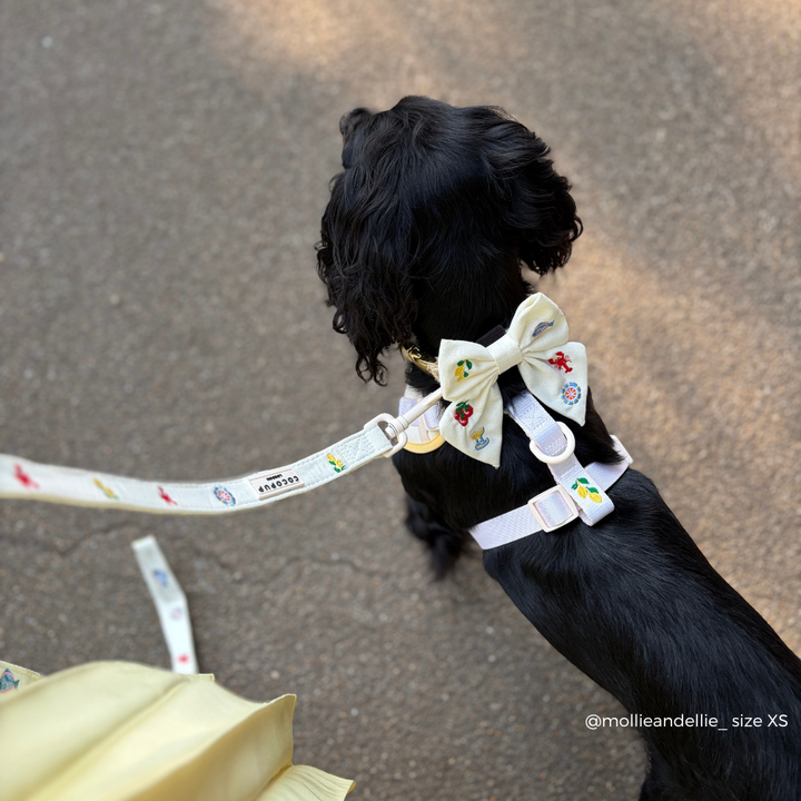 Picnic in Positano Sailor Bow Tie