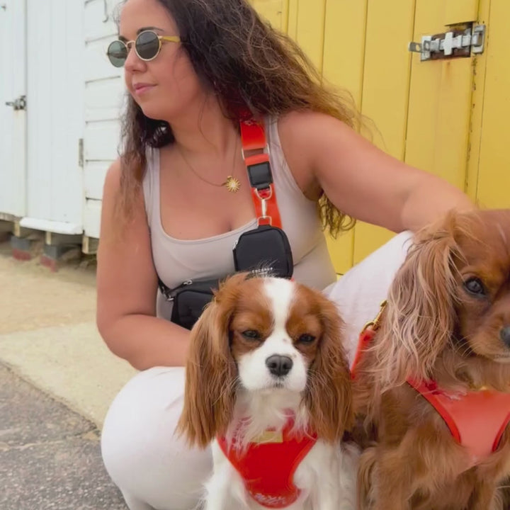 Luxe Velvet Bag Strap - Coral Core