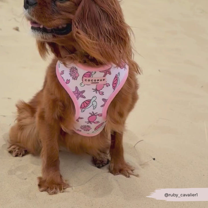 Pawcific Pink Reef Adjustable Neck HARNESS