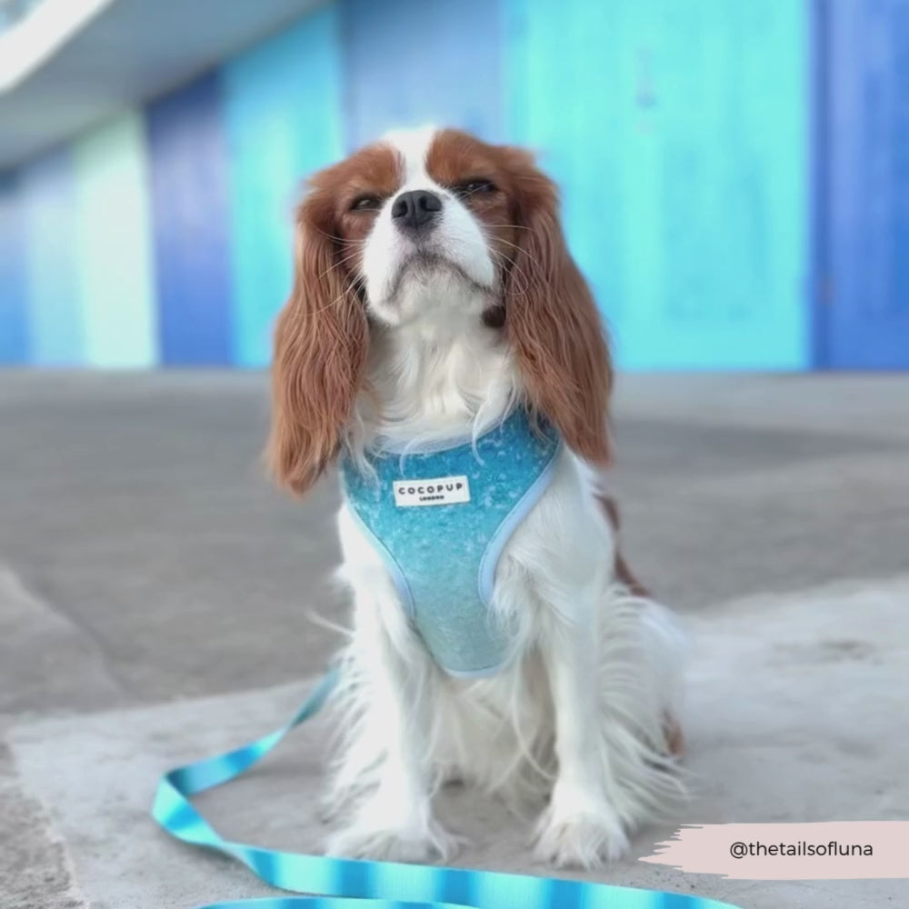 Seaside Shimmer Adjustable Neck HARNESS