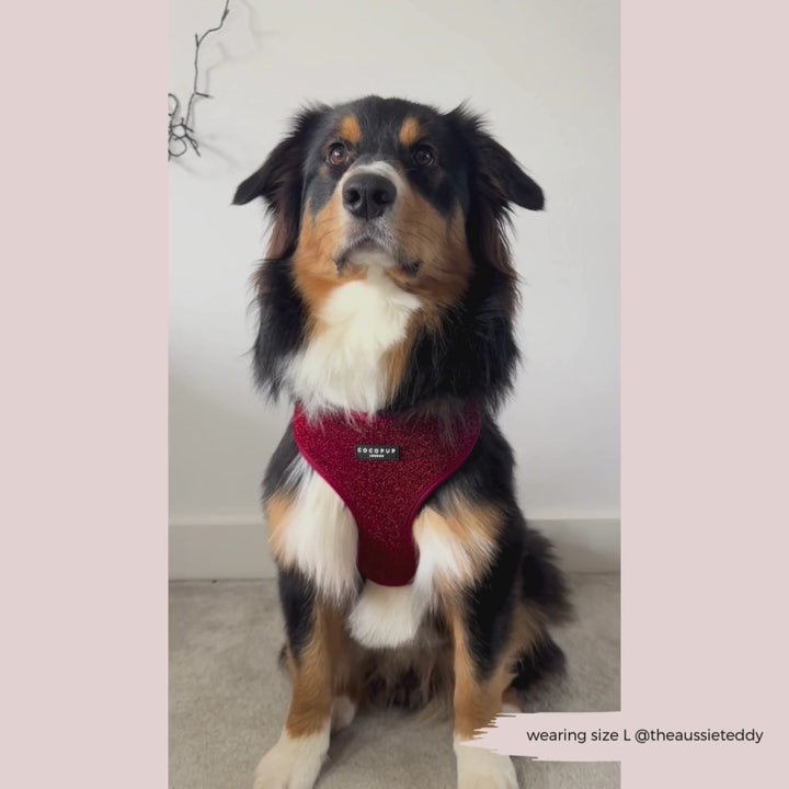 Limited Edition Burgundy Sparkle Pup Adjustable Neck Harness