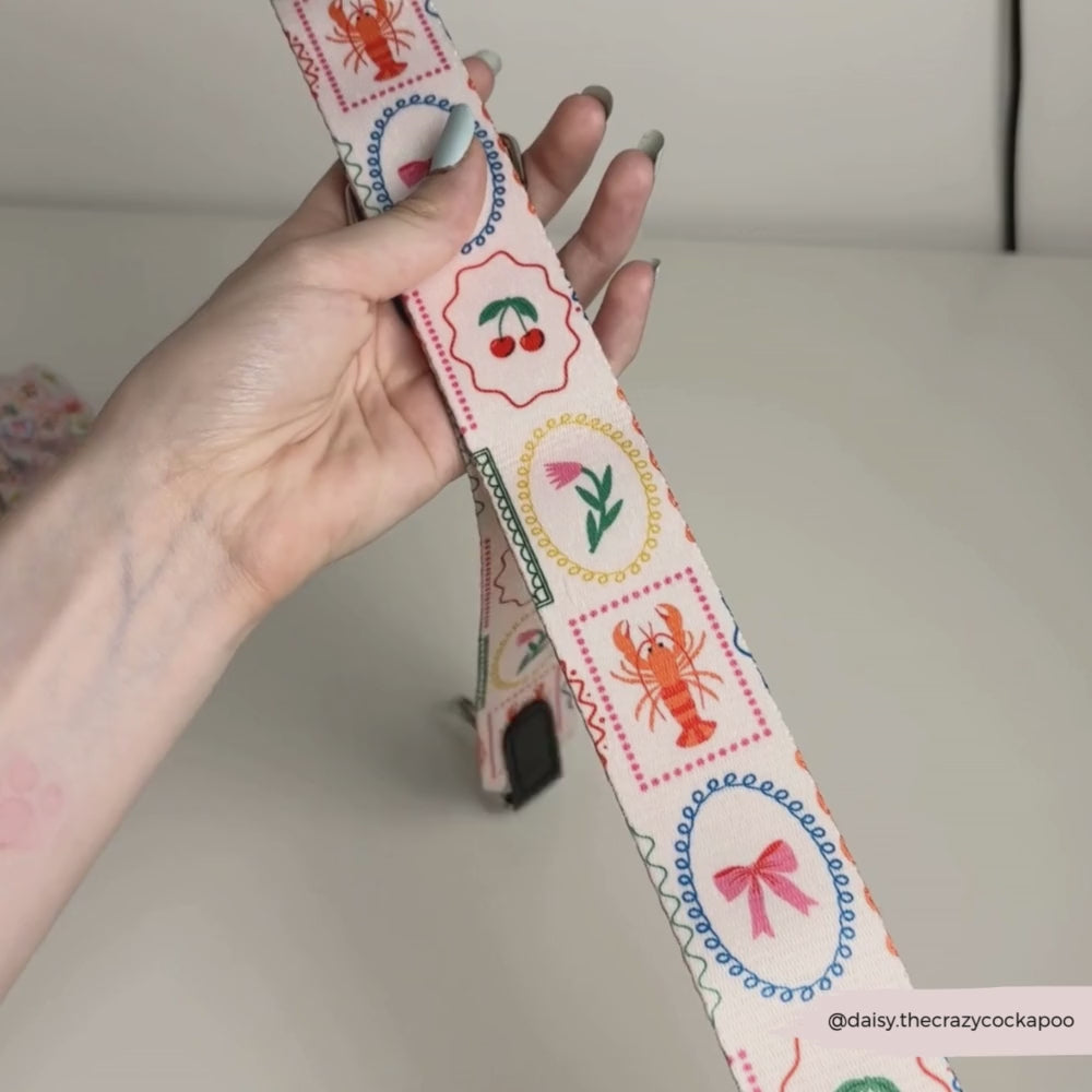 Dog Walking Bag Bundle - Dolce Vita