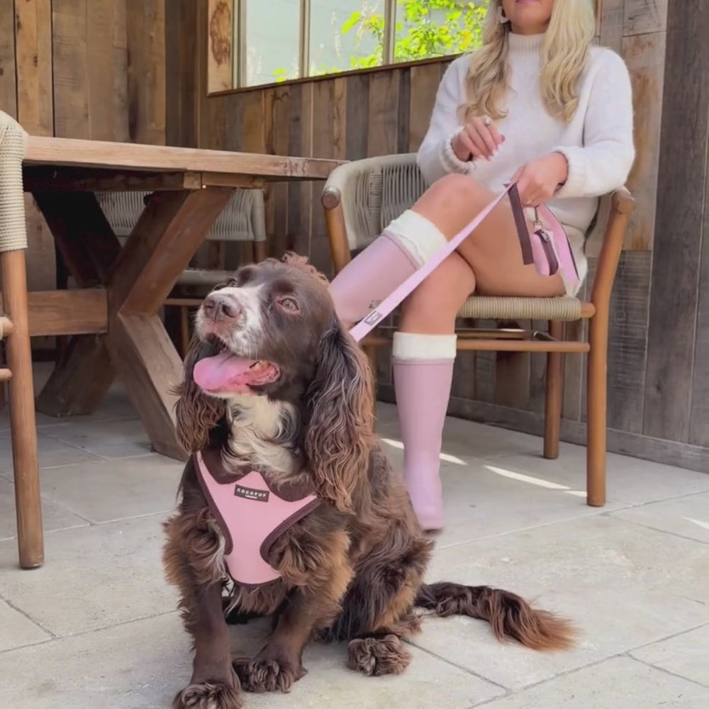 A close-up of a brown long-haired dog wearing a pink dog harness with dark brown trim. The brand label on the chest reads 'Cocopup London'.