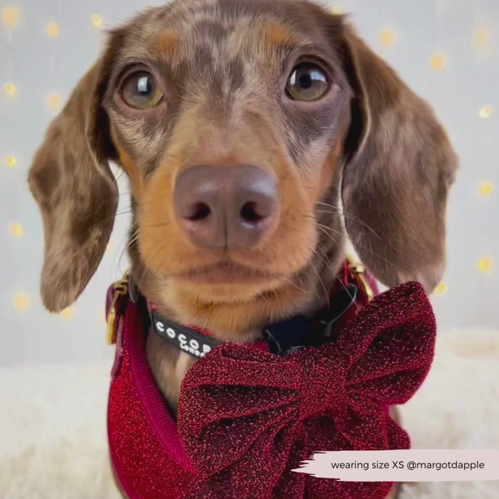 Limited Edition Burgundy Sparkle Pup Adjustable Neck Harness