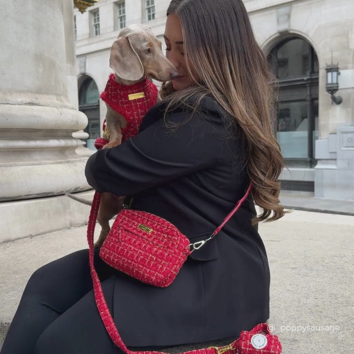 Red Textured Tweed Adjustable Neck HARNESS