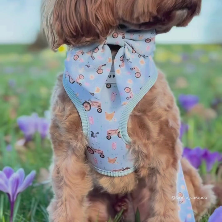 Barnyard Buddies Adjustable Neck HARNESS