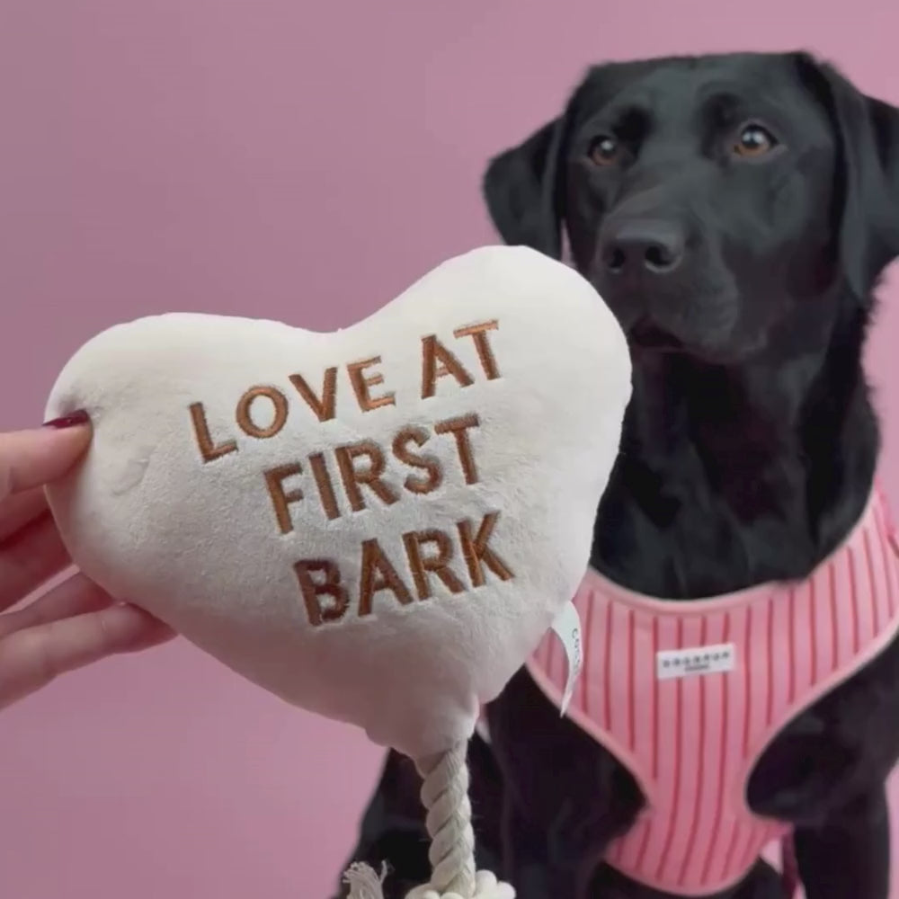 Love at First Bark Dog Toy