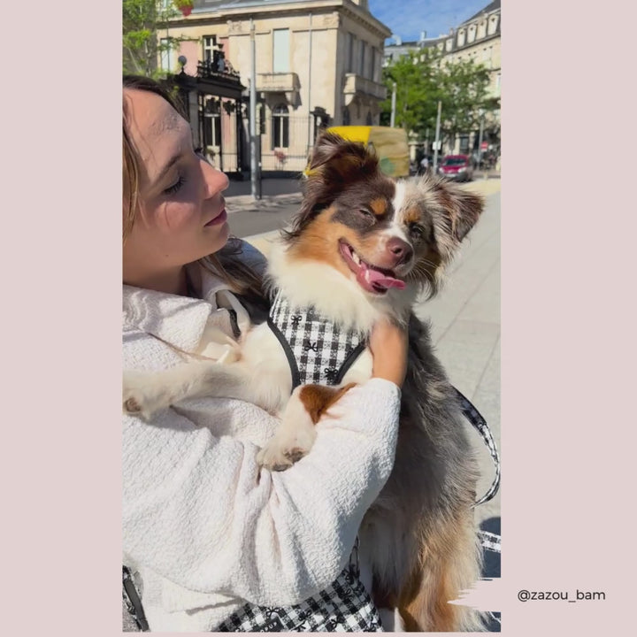 Pup in Paris Adjustable Neck Harness, Lead & Collar Bundle