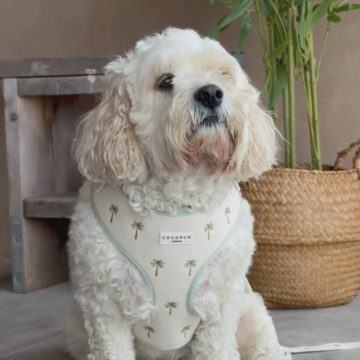 Palm Springs Adjustable Neck HARNESS