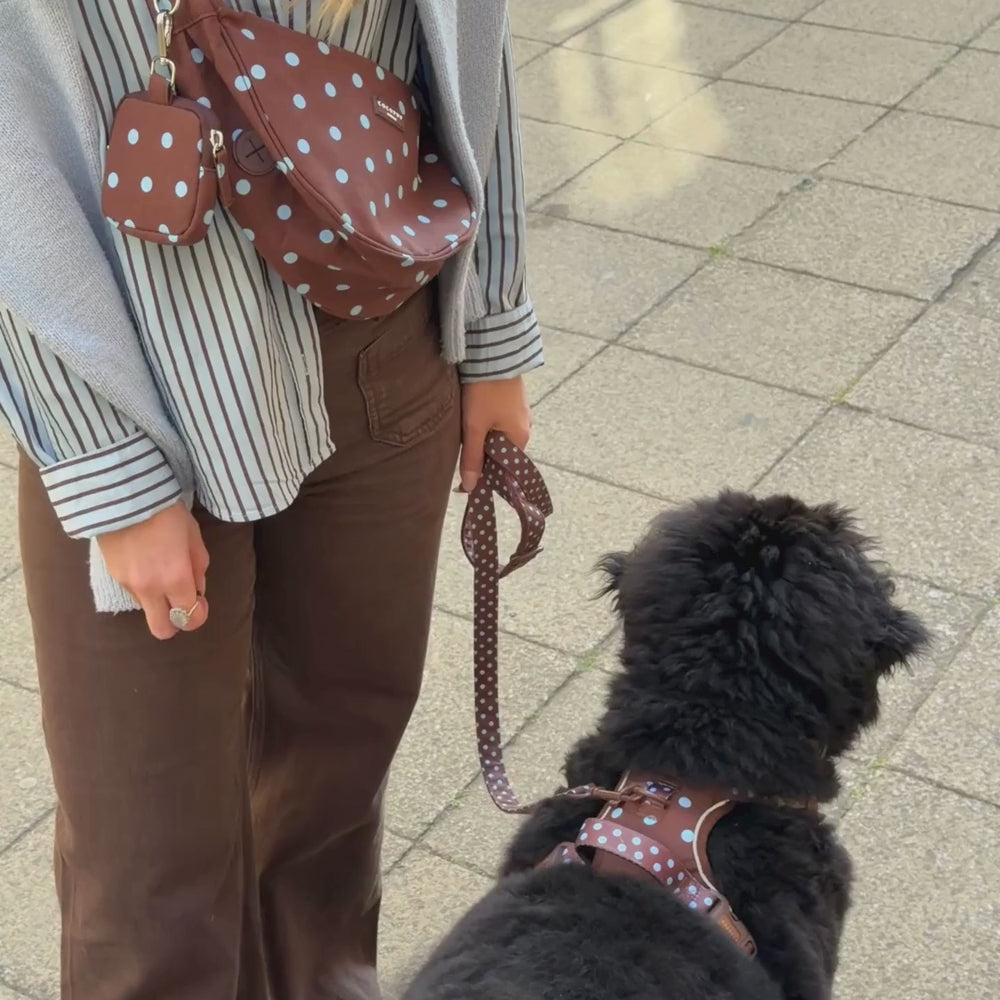 A person wearing a brown and blue polka dot crossbody bag and matching pouch, holding a black dog on a matching lead