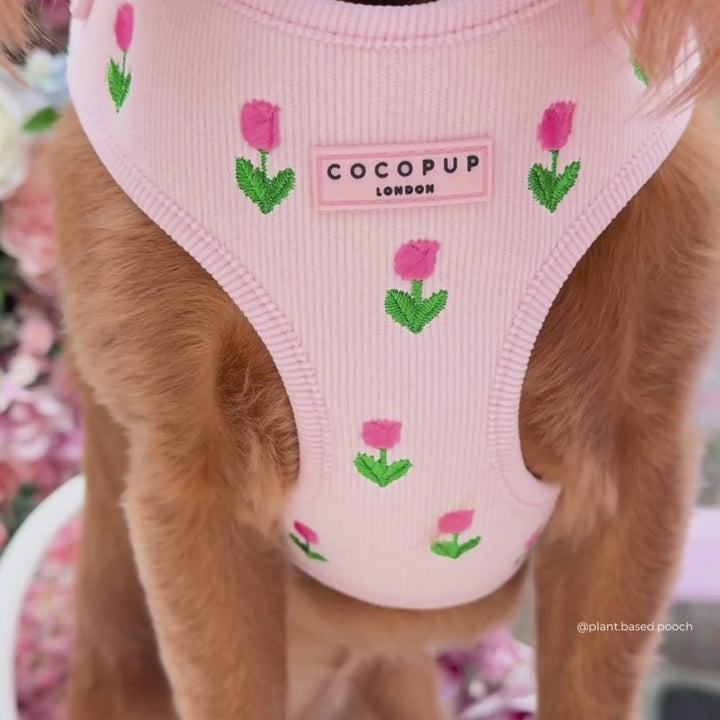 Tulip Tails Adjustable Neck Harness, Lead & Collar Bundle