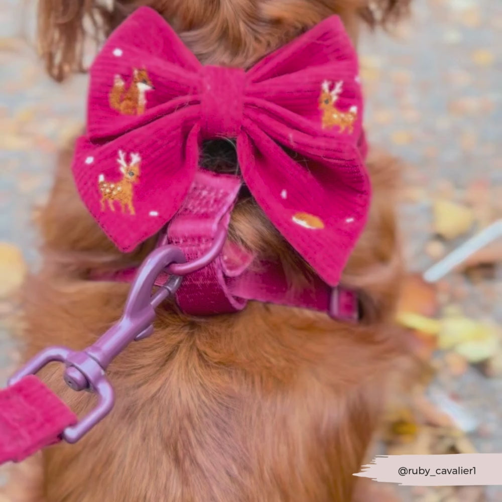 Holly Jolly Trails Sailor Bow Tie