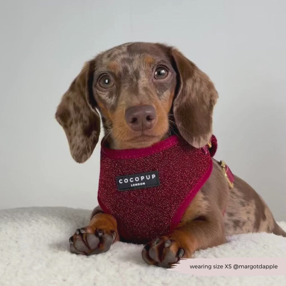 Limited Edition Burgundy Sparkle Pup Adjustable Neck Harness