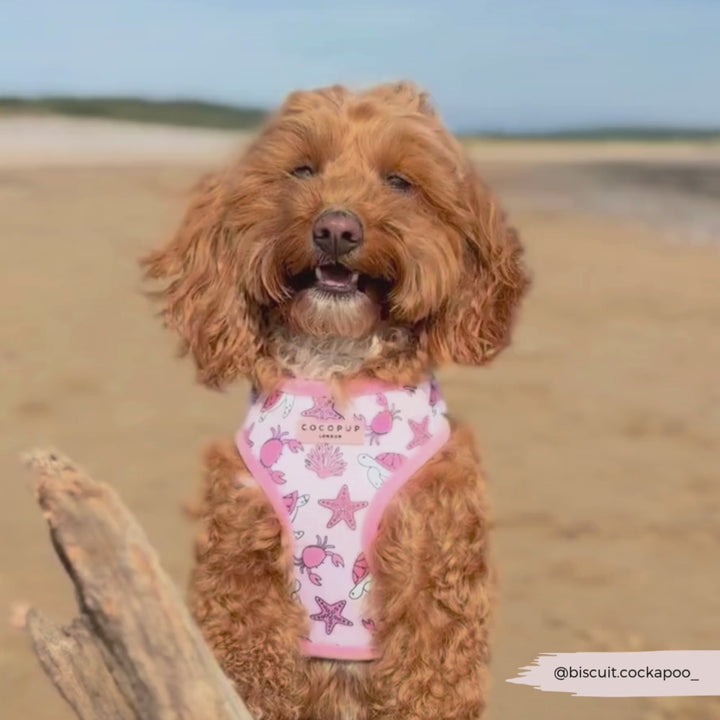 Pawcific Pink Reef Adjustable Neck HARNESS