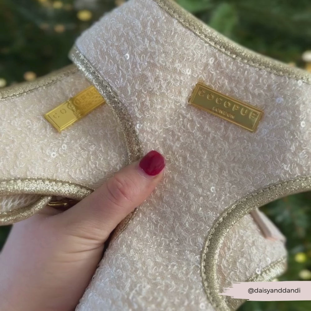 Limited Edition Sparkle Season Gold Adjustable Neck Harness, Lead & Collar Bundle