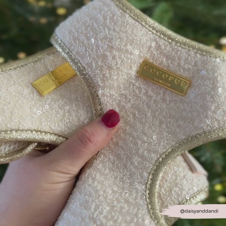 Limited Edition Sparkle Season Gold Adjustable Neck Harness, Lead & Collar Bundle