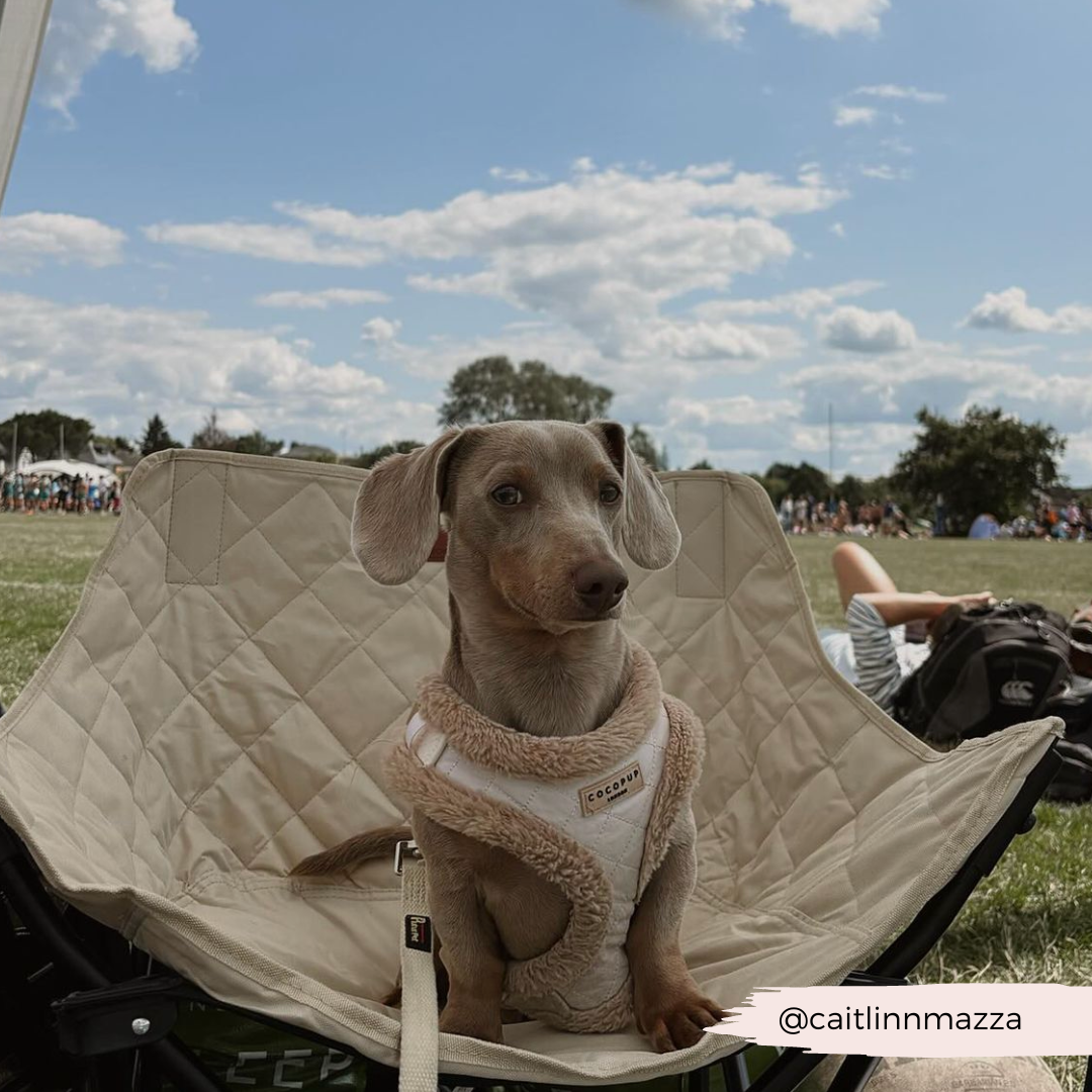 Cream Quilted Adjustable Neck Harness