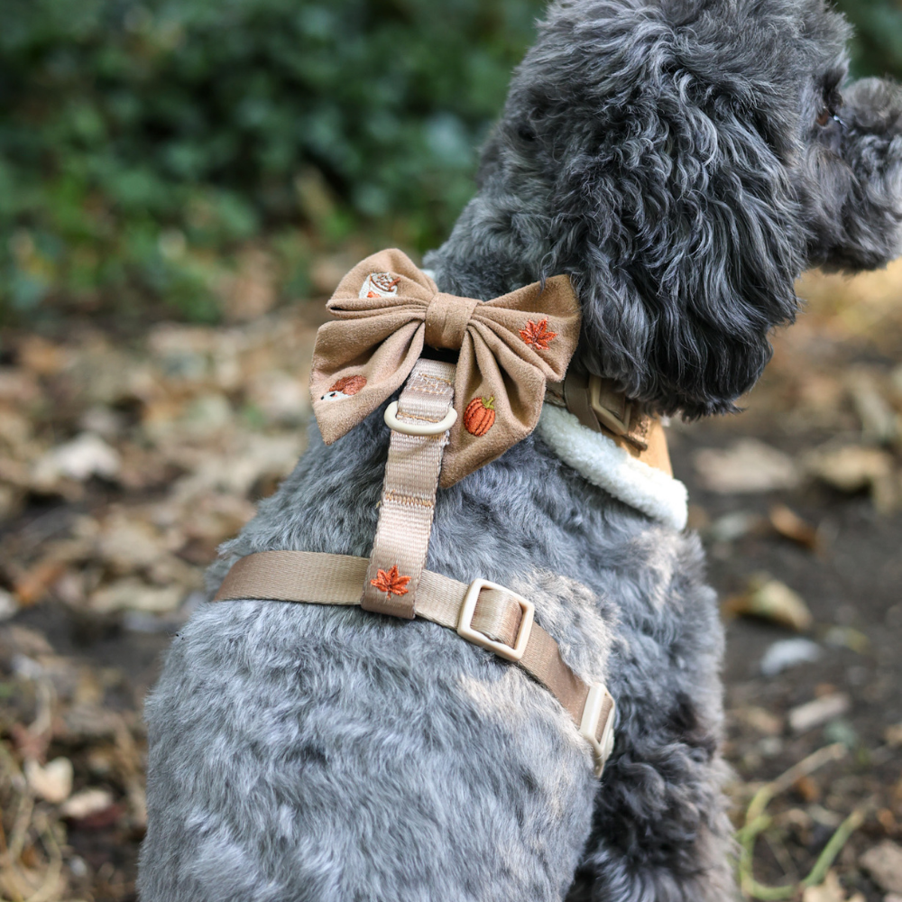 Tails of Pawtumn Sailor Bow Tie