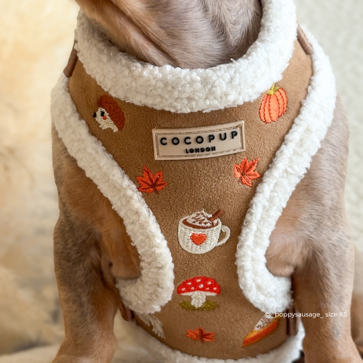 A close-up of a dog wearing a tan and white trim harness with autumn-themed embroidered details including a pumpkin, mushroom, coffee cup, and leaves. The brand label reads 'COCOPUP LONDON'.