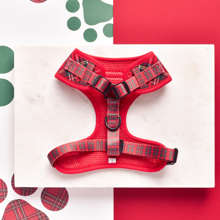 Tartan Adjustable Neck Harness, Lead & Collar Bundle