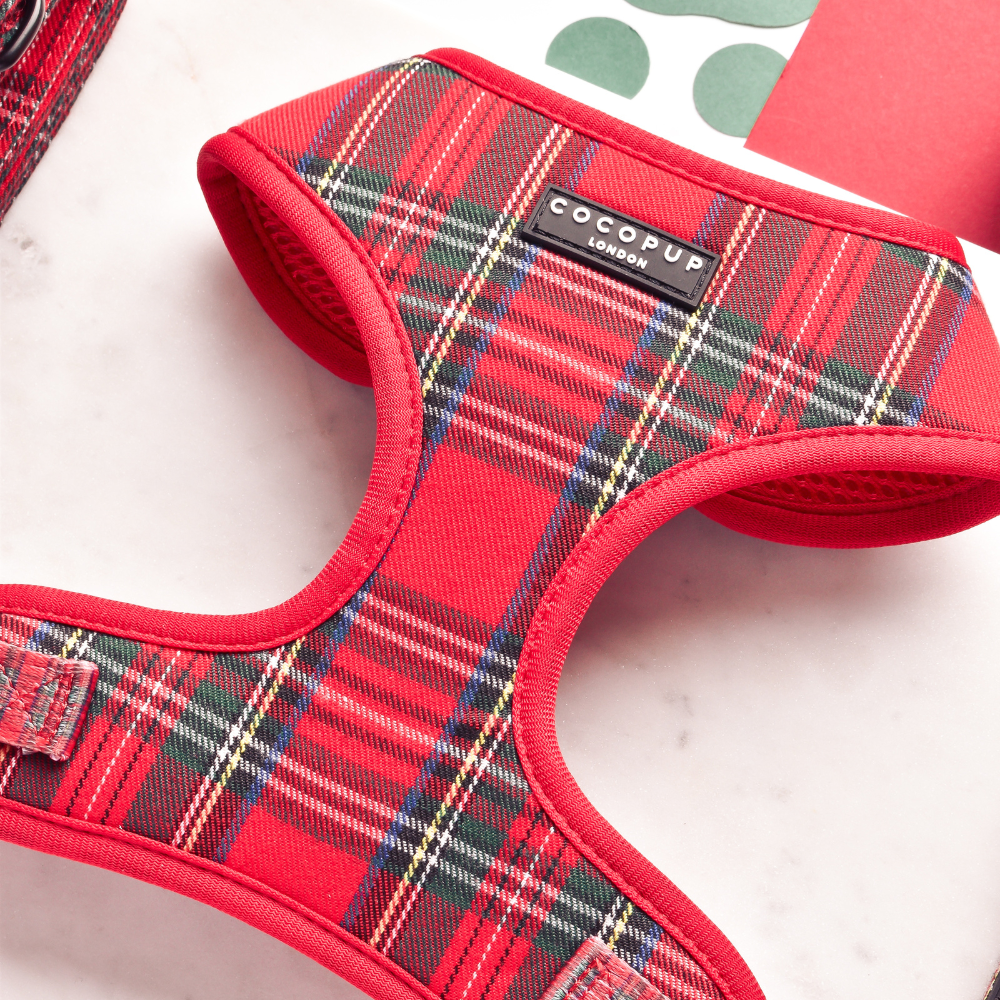 Tartan Adjustable Neck Harness, Lead & Collar Bundle