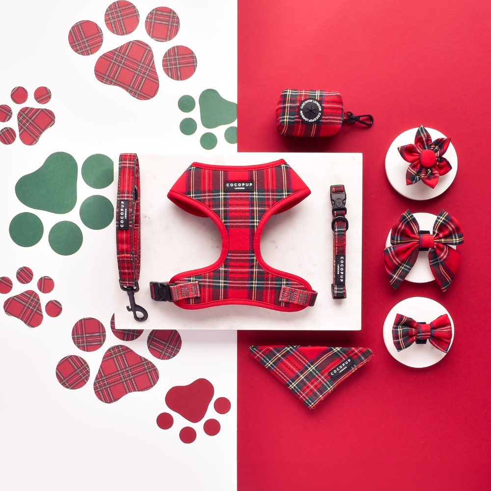 Tartan Adjustable Neck Harness, Lead & Collar Bundle