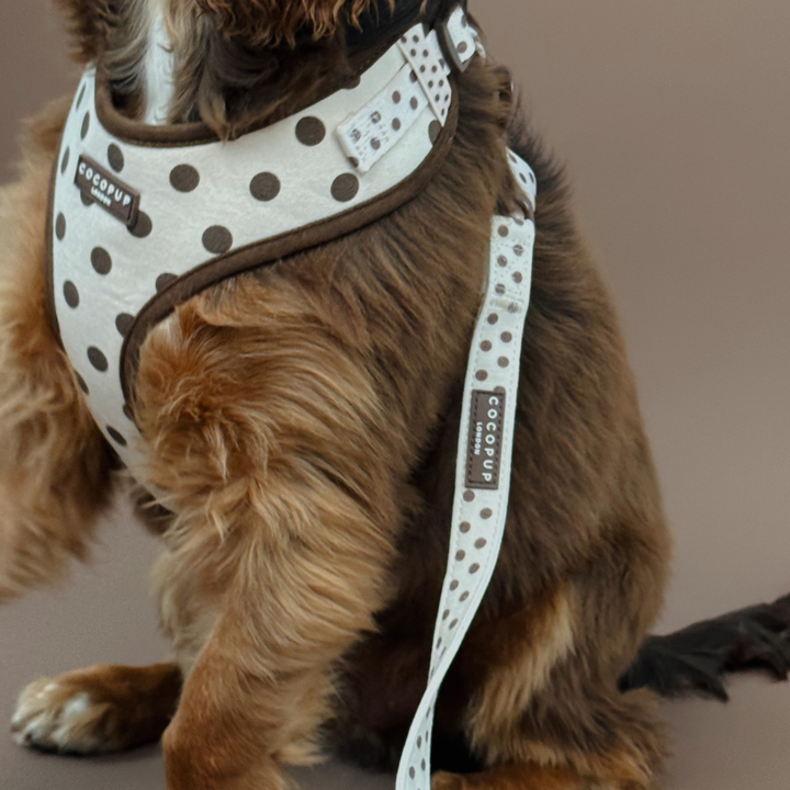 Tiramisu Polka Dot Adjustable Neck Harness, Lead & Collar Bundle