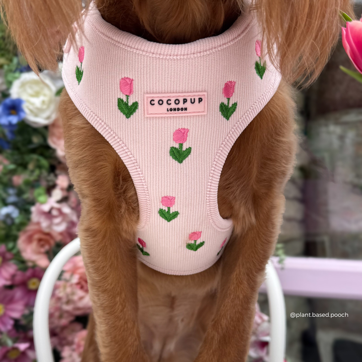 Tulip Tails Adjustable Neck Harness, Lead & Collar Bundle