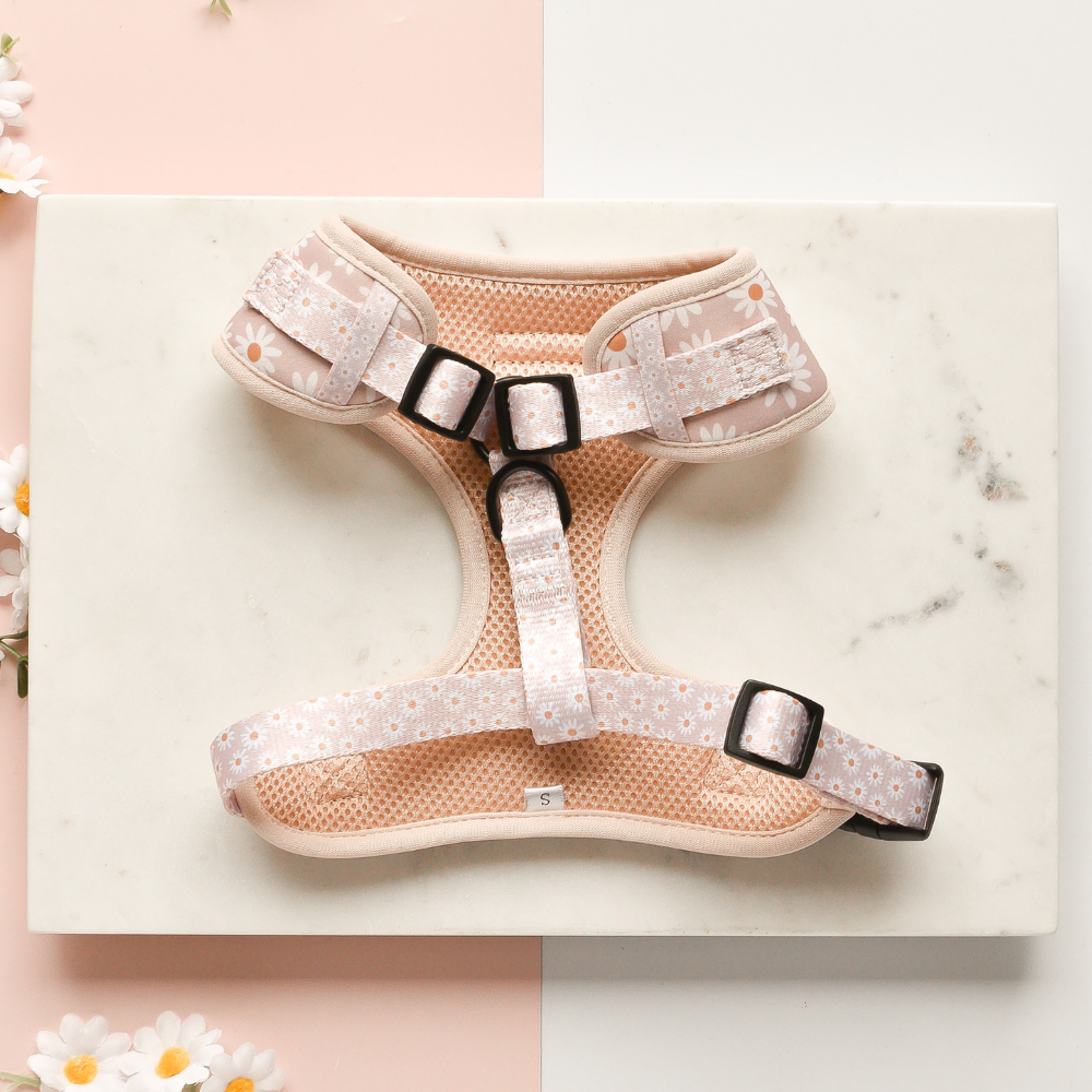 A light pink Daisy Chain Adjustable Neck Harness from Cocopup London, featuring floral patterns and black buckles, lies on a marble surface. This harness is designed with adjustable straps and a beige mesh lining. The background is split into pastel pink and white sections, accented with small white flowers—perfect for a playful pup.